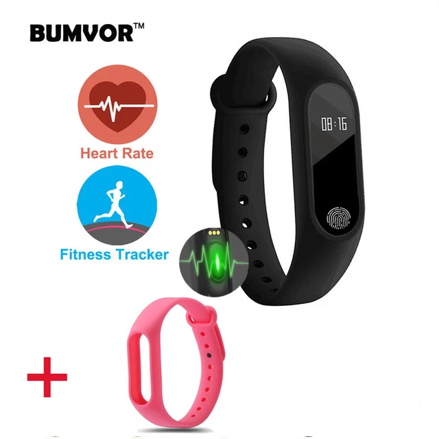m2 heart smartband