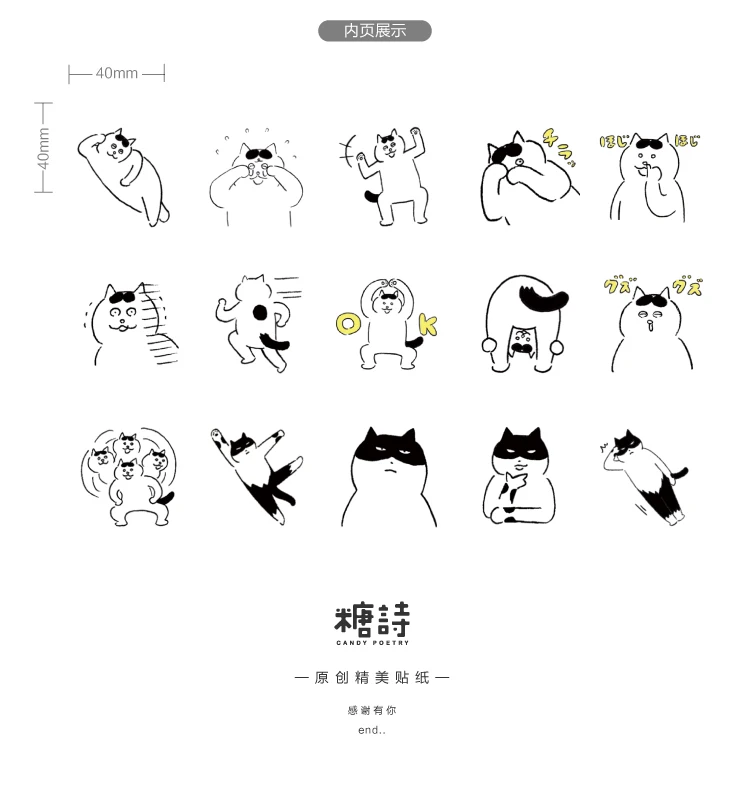  (10)