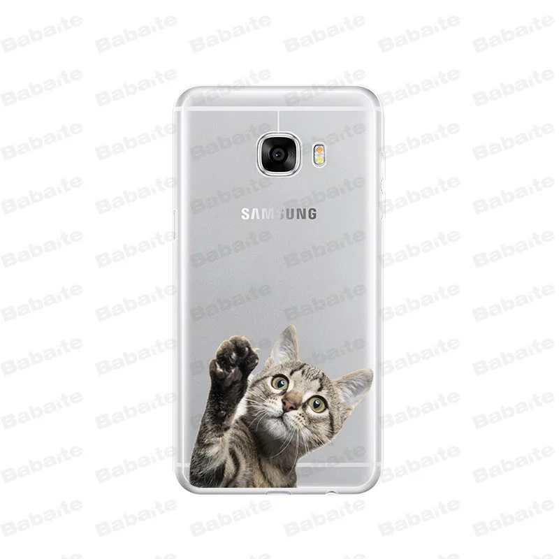 Cute  French Bulldog cartoon dog and cat