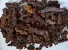 WHOLESALE PRICE! 2.2LB LARGE COPROLITE zed Dinosaur Poop Specimen 4