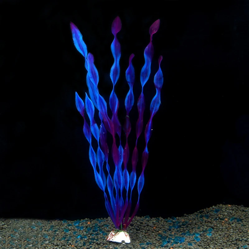  (4)