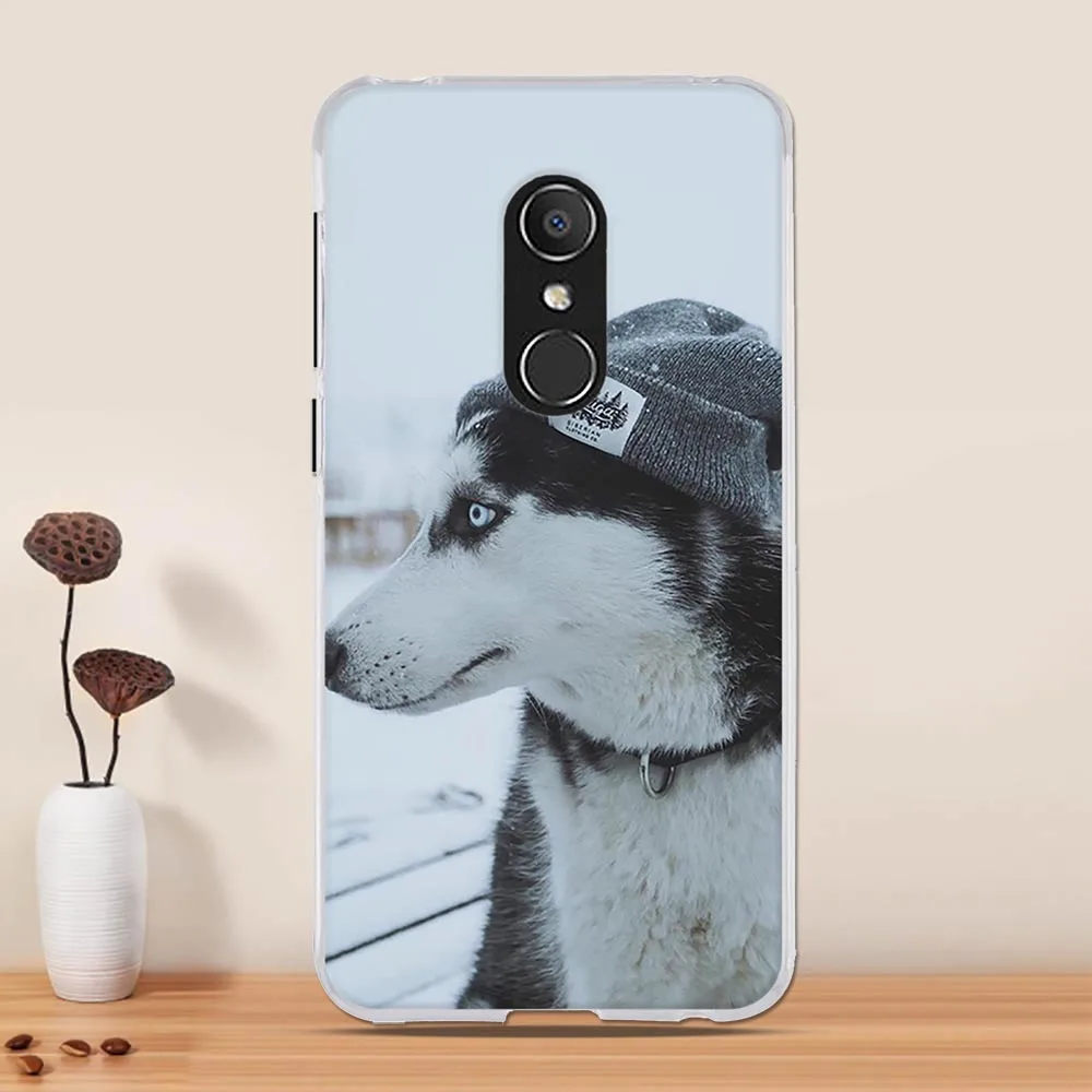 9 Для Alcatel 3 5052D 5034D чехол funda силиконовый чехол для Alcatel 1C 5009D Чехол Мягкий ТПУ чехол для Alcatel 1X 3X чехол - Цвет: 9