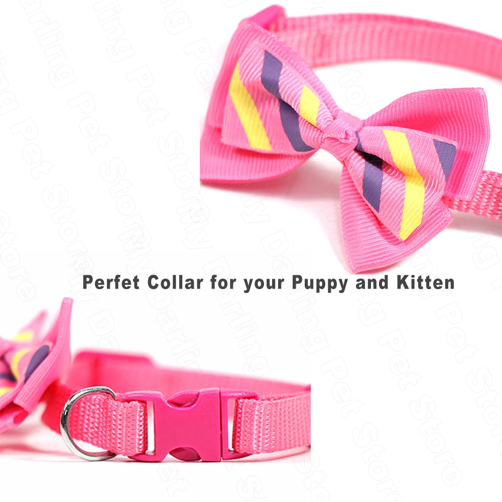kitten collars