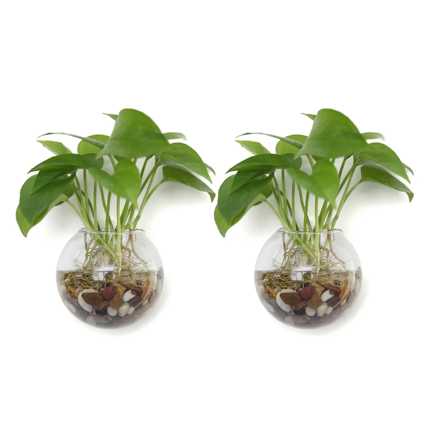 3 Air Plant Terrarium Glass Hanging Planter Plant Pots Container Candles Ball
