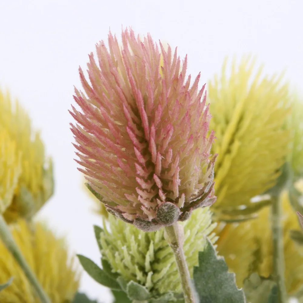 1PCS 5 buds Artificial flowers Three Colour Nice Thistle for Merry Cristmas Wedding Decoration Flower  Home Party Decoration