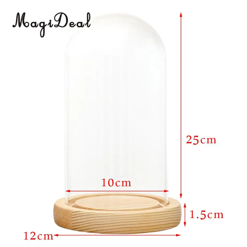 MagiDeal Mini Clear Glass Hemisphere Cloche Cover Dome Light Up Cabochon Bell Succulent Terrariums Air Plant Covers With Cork	