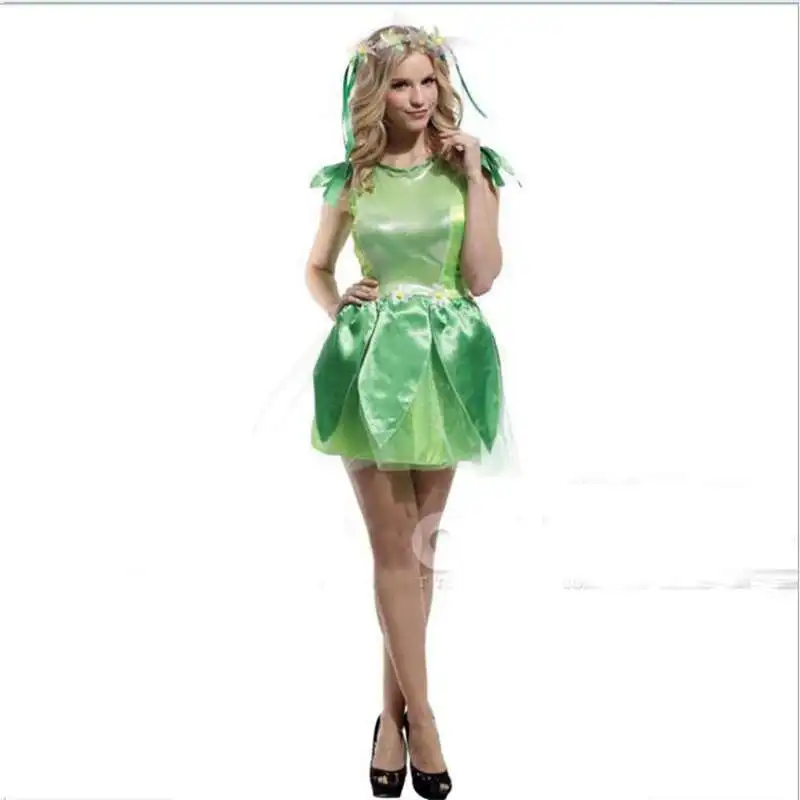 fairy princess dress up costumes