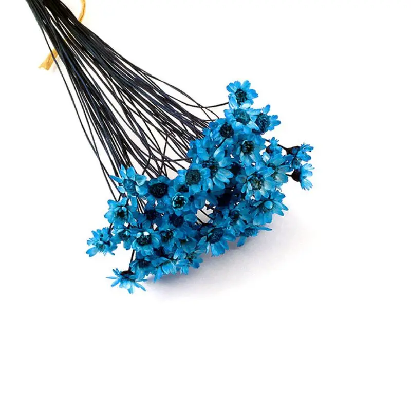 2SS304904-RB
