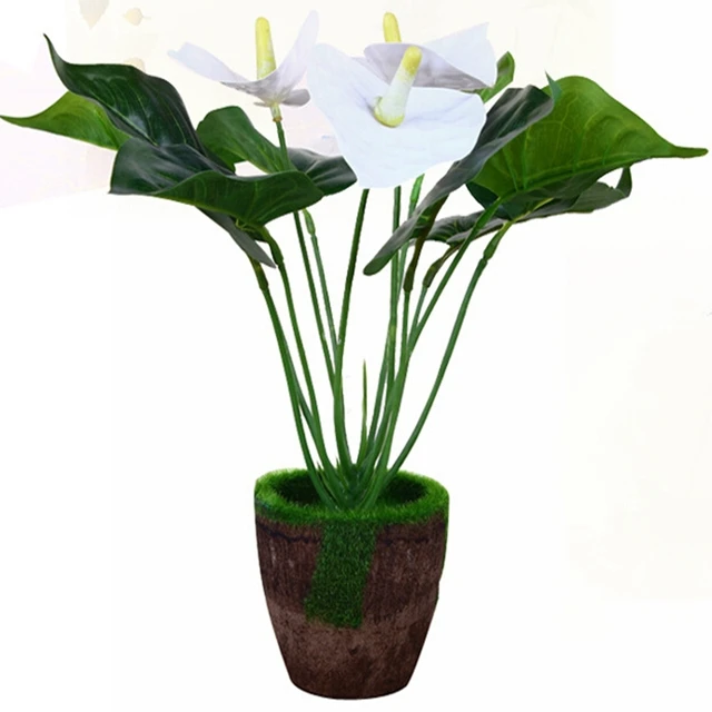Lily Home Decor Lily Home Decor