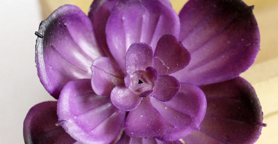 Фиолетовая серия, имитация суккулента, Горшечное растение, креативная, сделай сам, украшение для офиса, дома, аксессуары в горшке, искусственный цветок, 1 шт