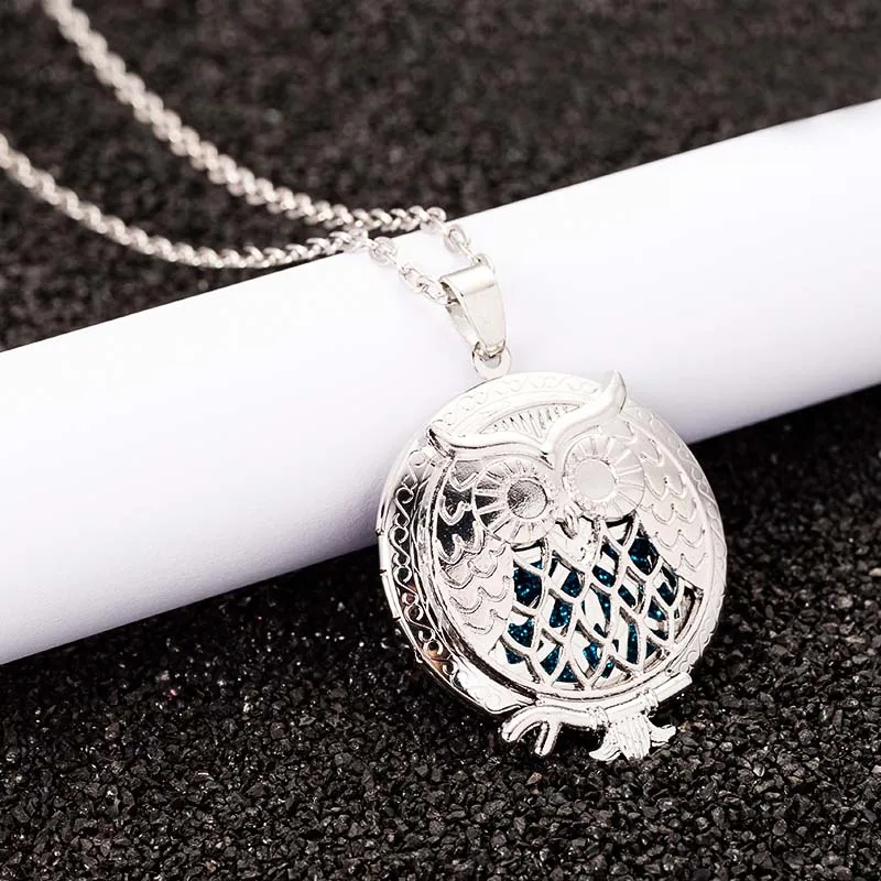 

Aroma Diffuser Necklace Open Lockets owl Pendant Perfume Oil Locket to Necklace Chain length 60cm Send 2 shiny pads T34