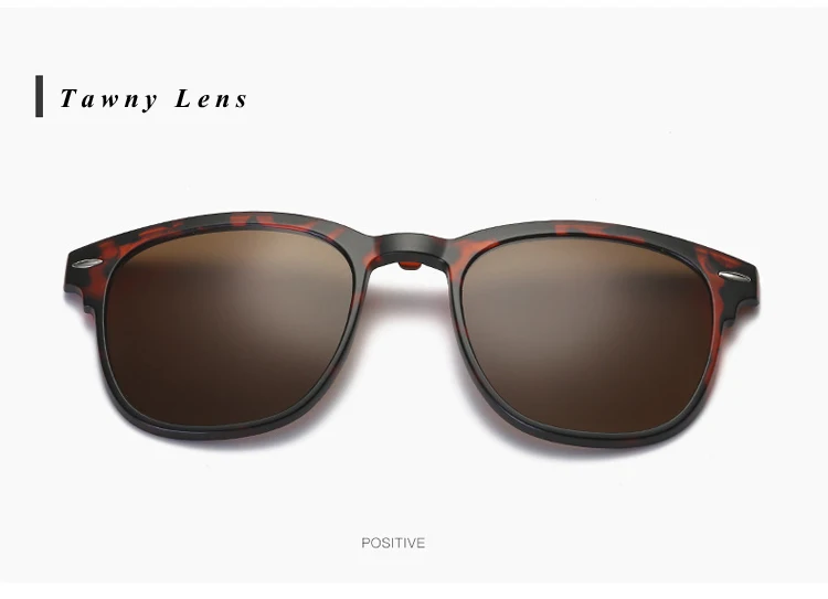 Polarized Sunglasses (11)