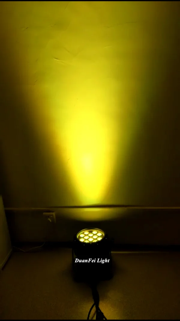 12 led par waterproof-11