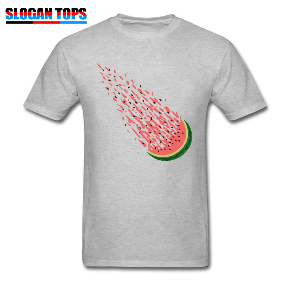 WATERMETEORITE Summer Fall 100% Cotton Crew Neck T Shirt Short Sleeve Simple Style T-Shirt Dominant Design Tshirts WATERMETEORITE grey
