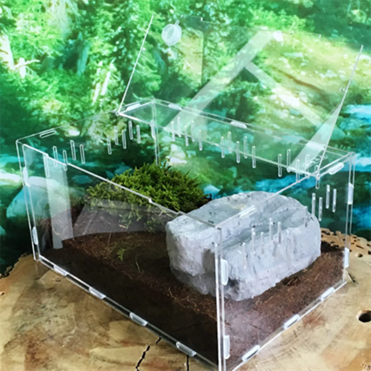 Skup Rozmiar S L zbiornik gadów owady pająki żółw jaszczurka akrylowy przezroczysty inkubator Vivarium Lid gad domowy produkt Terrarium