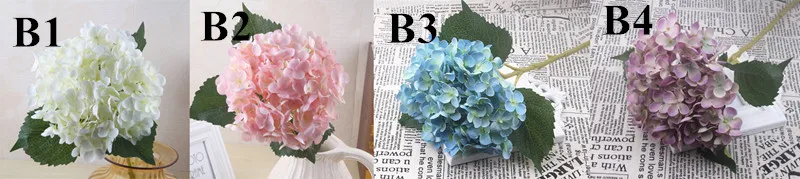 B1