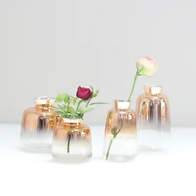 Европейская постепенная Золотая стеклянная ваза Террариум стеклянные контейнеры мини маленькие цветочные вазы бутылка гидропонный контейнер украшение дома