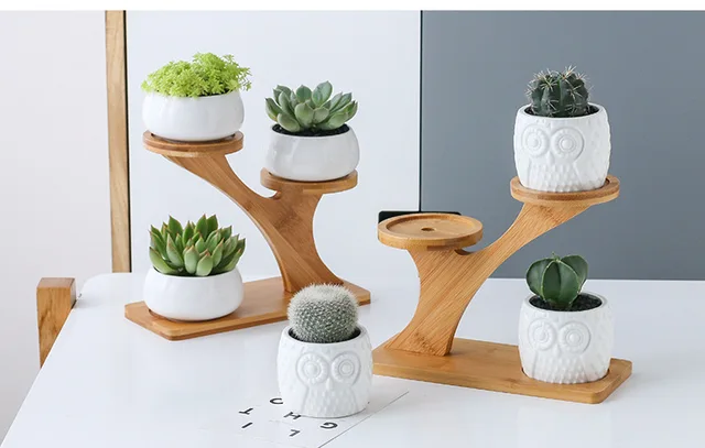 楽天市場】植木鉢 陶器 3号 2個セット 陶器鉢 セラミックス 人型