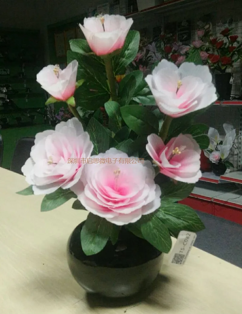 flower-0
