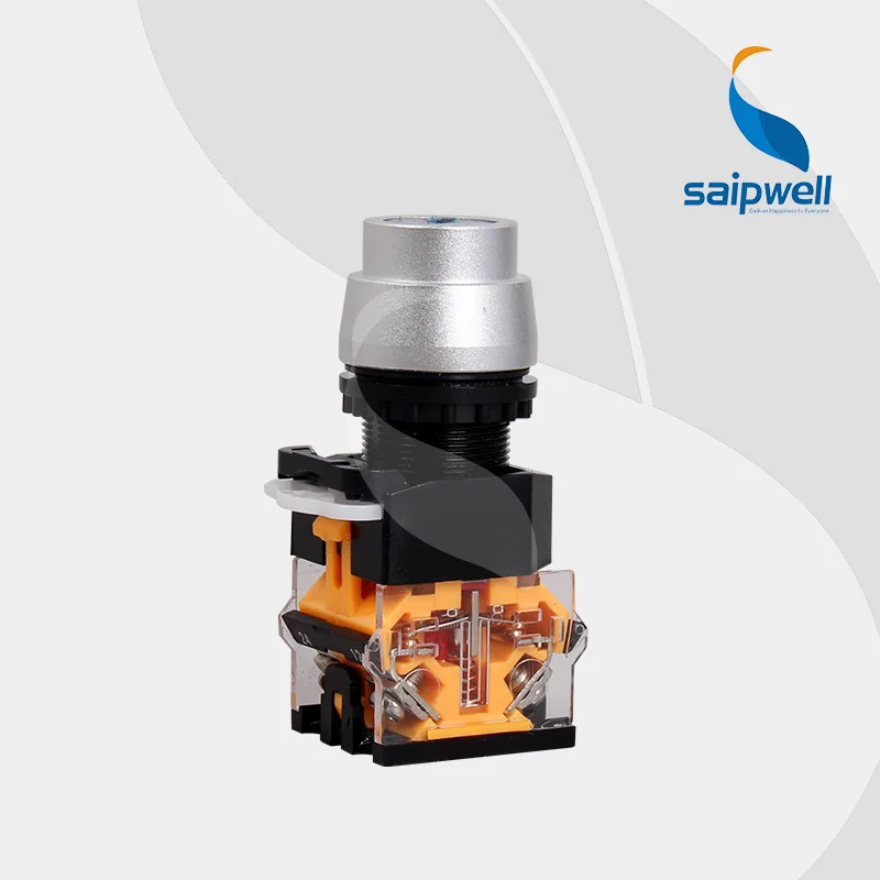 

Saipwell key lock switch Plastic 2 Postion IP40 Industrial Use (LAY50-22D)