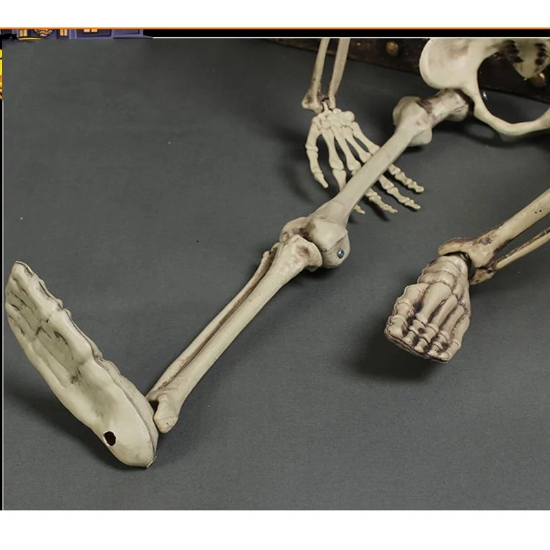 Гибкая медицинская анатомическая Анатомия человека медицинская модель скелета обучающая помощь Анатомия художественный эскиз 14 см