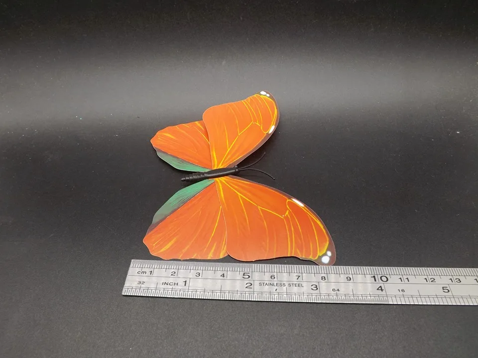 I226-Butterfly (10)