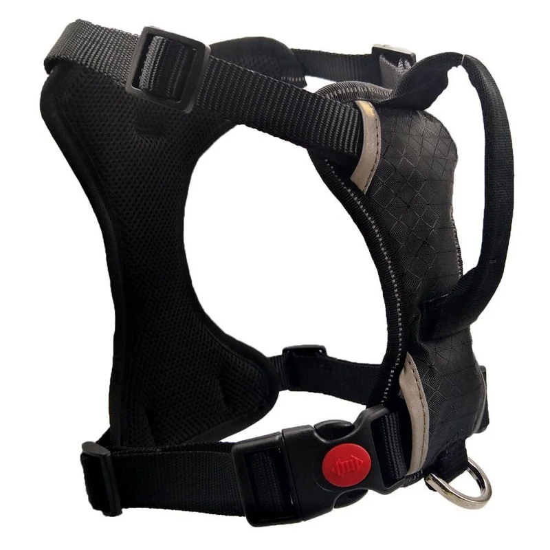 dog harness