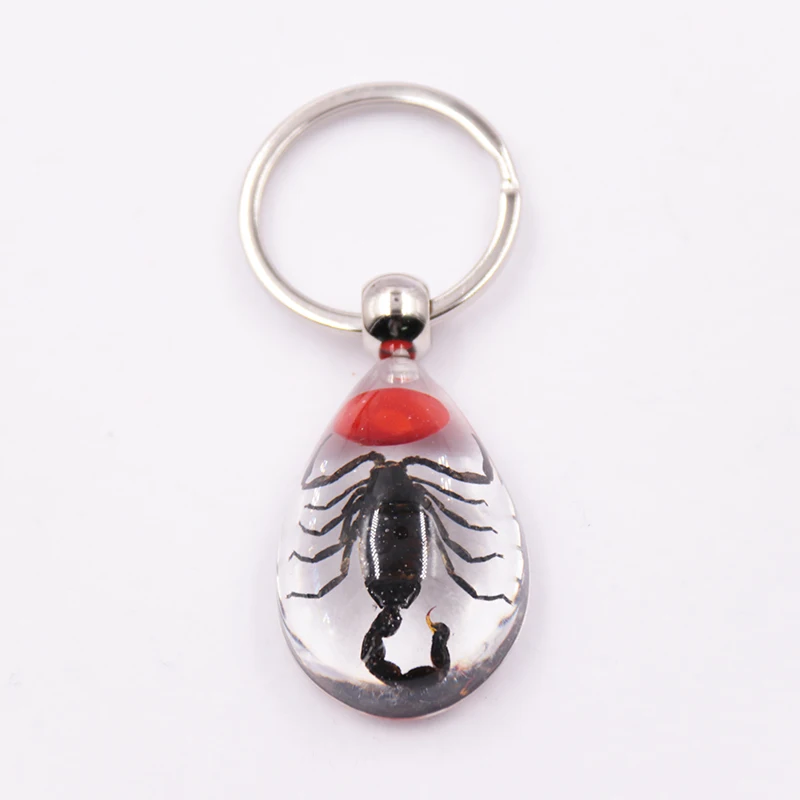 Fashion high quality Innovative design scorpions transparent tear drop resin luminous key ring chain