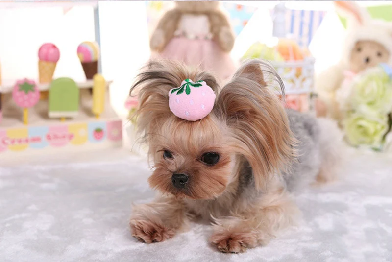 Newest-Cute-Pet-Dog-Cat-dog-grooming-Hairpin-Beauty-Supplies-Cartoon-Strawberry-Frog-Bee-Bows-Hair-Clips-Headwear-PL0124 (9)
