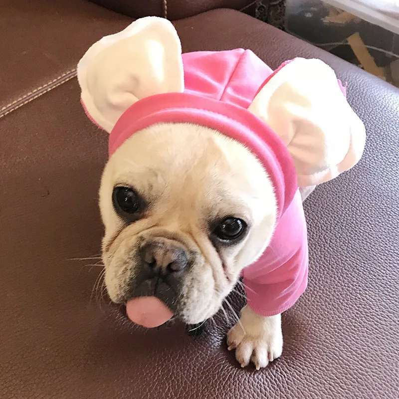 HSWLL весна и осень Pet Teddy Cat Одежда махровый хлопок с капюшоном уха для отдыха товары собак