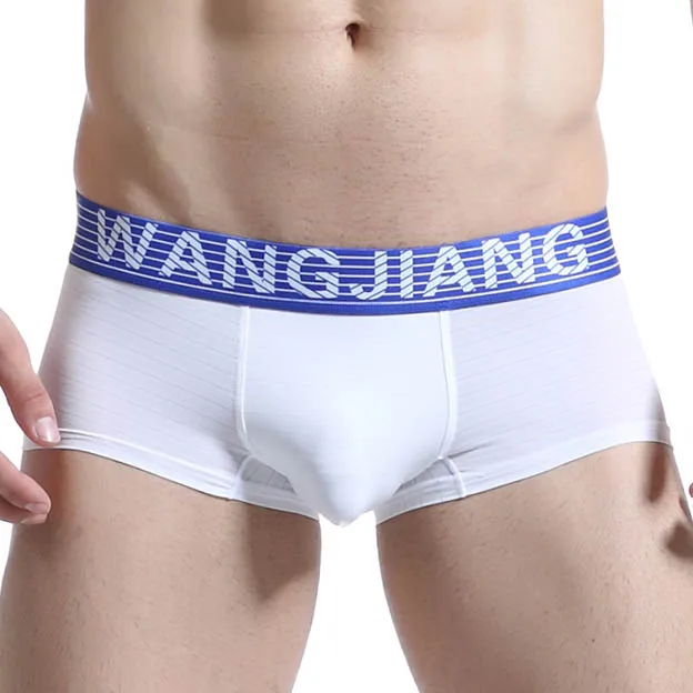 WJ brand Sexy Boxers Underwear Mens Ice Silk Sheer Underpants Slip