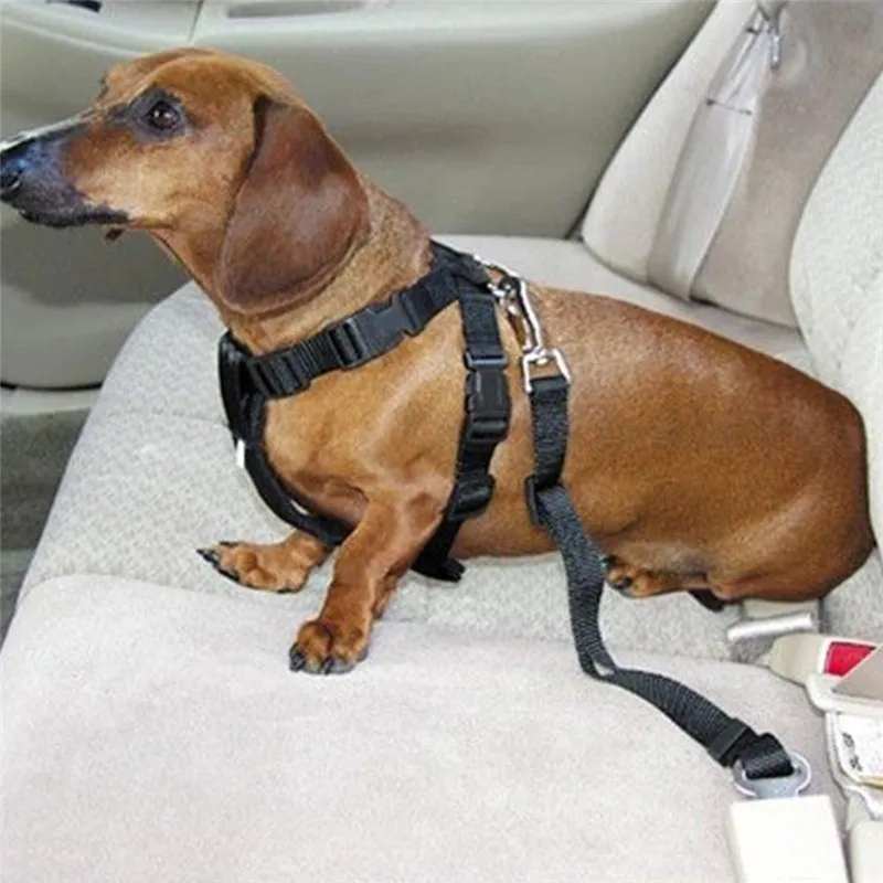 Собака домашних животных безопасности автомобиля ремень ограничитель ремней безопасности свинец Регулируемый зажим для путешествий