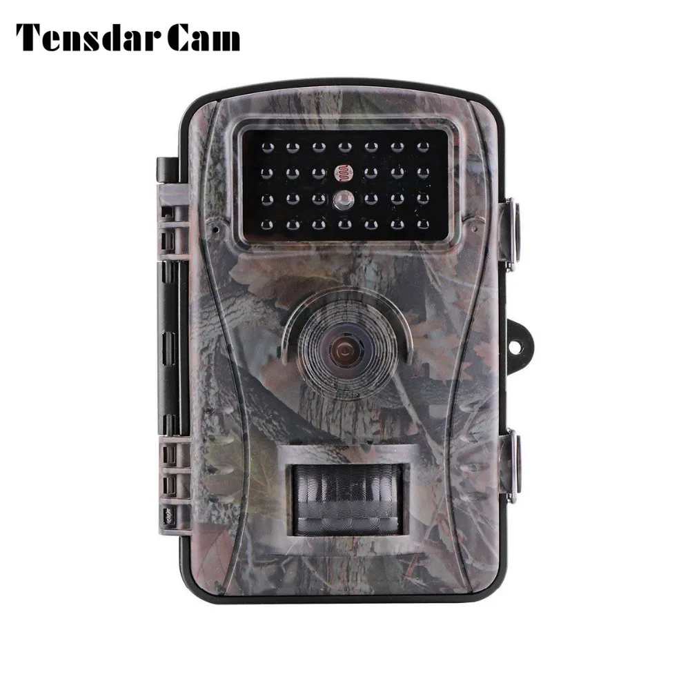 motion detector wildlife camera