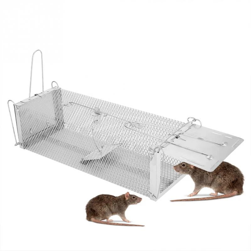 Buy Pest Traps Animal Humane Trap Catch and Release