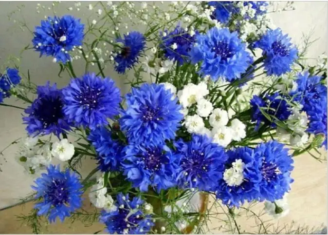 QQ20190430223748