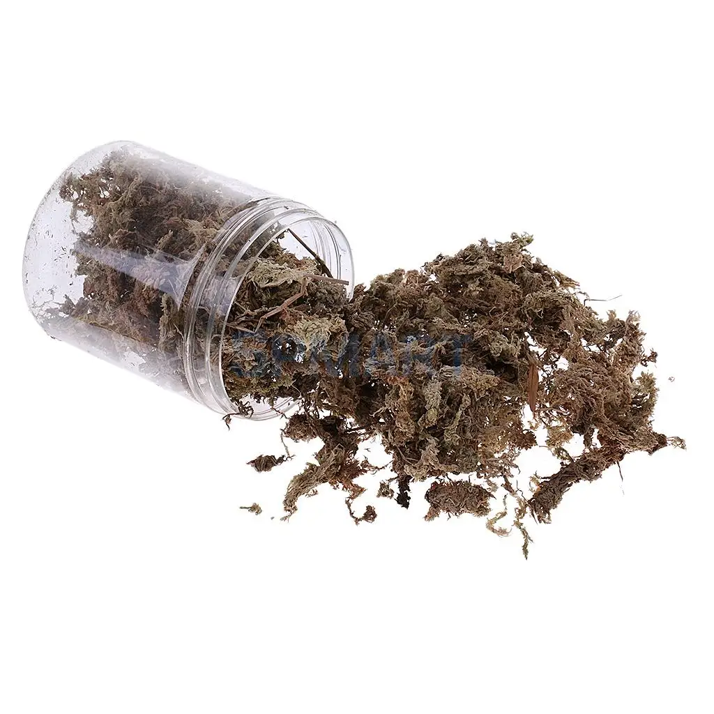 100ML/500ML Dry Grass Model Moss for Layout Terrain Vegetation Diorama Building Toy