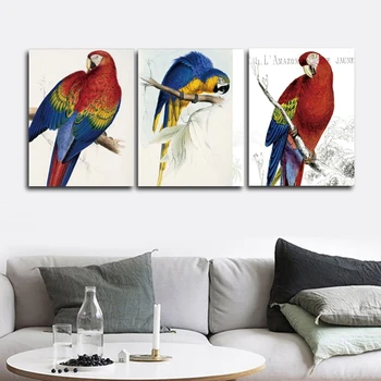 

Parrot Animals Nordic Wall Pictures Poster Print Canvas Painting Calligraphy Decor for Living Room Bedroom Home Decor Frameless