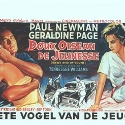 Sweet Bird of Youth Movie Poster (17 x 11)