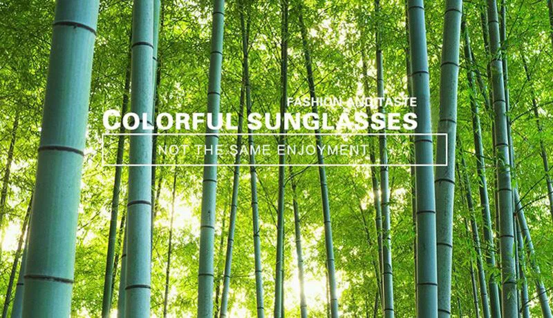 bamboo sunglasses
