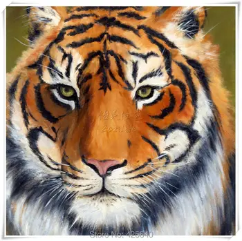 

Tiger Art 24X32 inches Painting Home Decoration Oil painting Wall Pictures for living room Home Decor paints Wall art paint