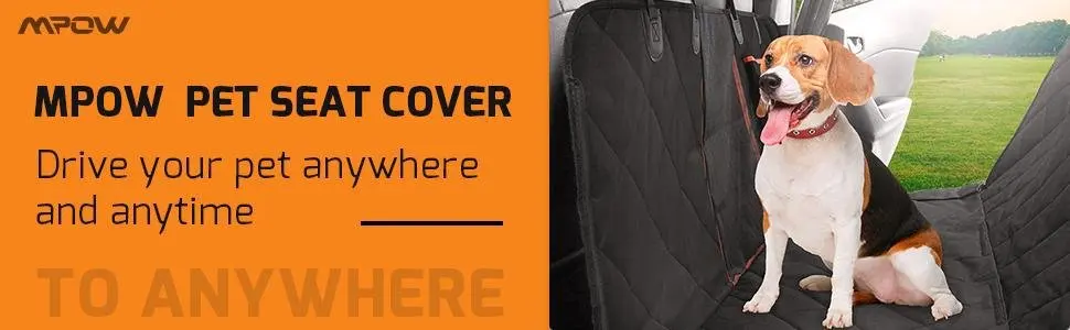 9031285893_1227780673