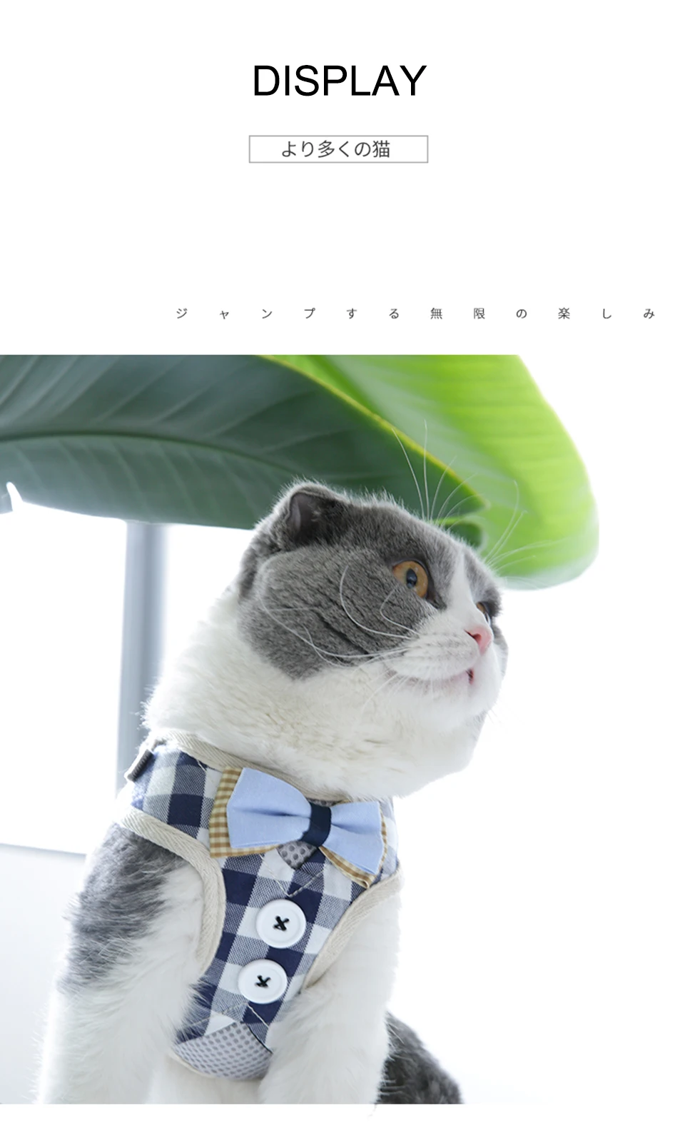 Ремешок для кошек и собак жилет галстук-бабочка Регулируемый жилет смокинг дышащий милый бант шлейка для кошек маленький для кошек котенок