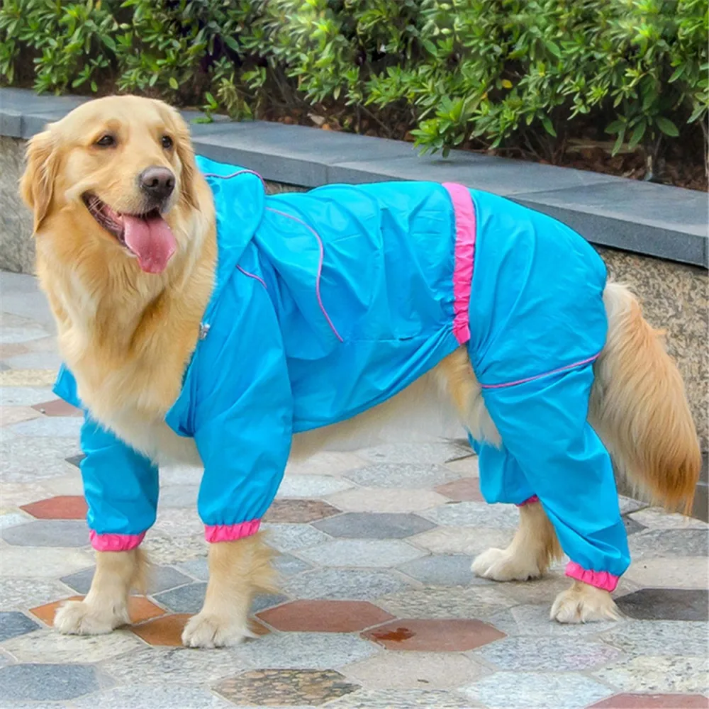 clothes for golden retrievers golden retriever raincoat reviews shopping golden retriever raincoat clothes for golden retrievers golden retriever raincoat reviews shopping golden retriever raincoat