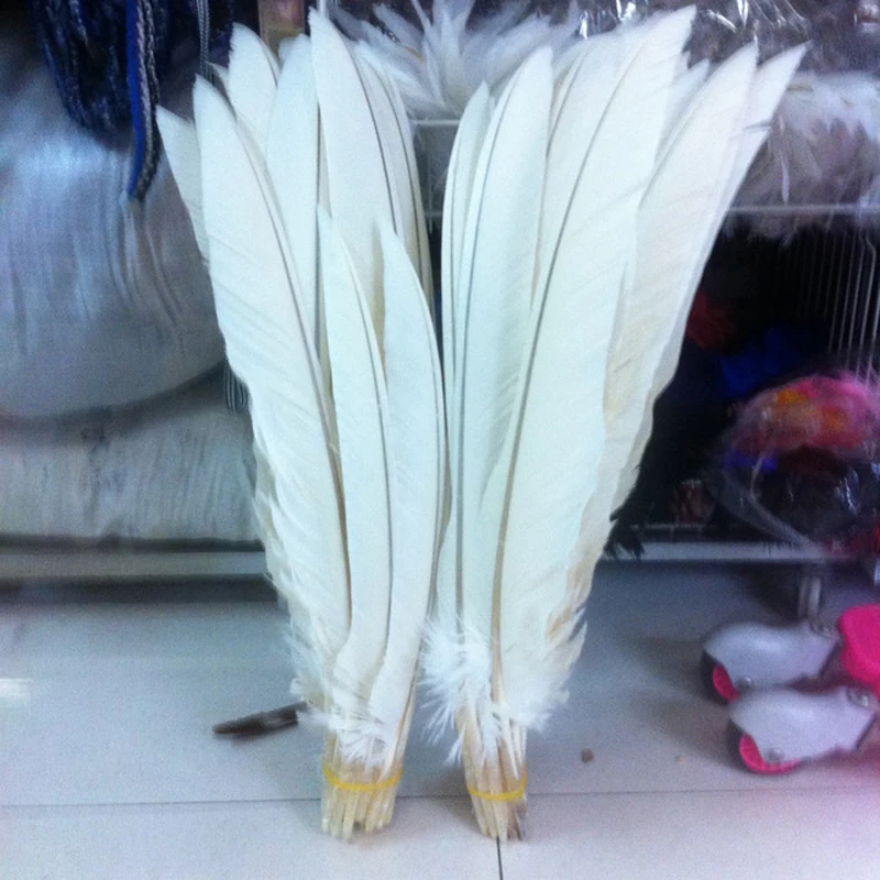 

Beautiful! 10 pcs 20-24 inches / 50-60 cm of rare natural white eagle feathers Favorites Free Shipping