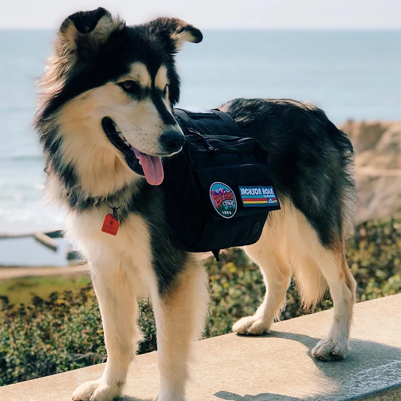 Onetigris dog pack hound travel camping hiking backpack saddle bag rucksack for medium & large dog Clearance