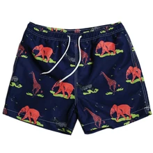 WD84 новые мужские одежда для плавания Sunga быстрой сухой купальник Шорты летний отдых пляж шорты для активного отдыха трусы спортивные Шорты с вкладышем