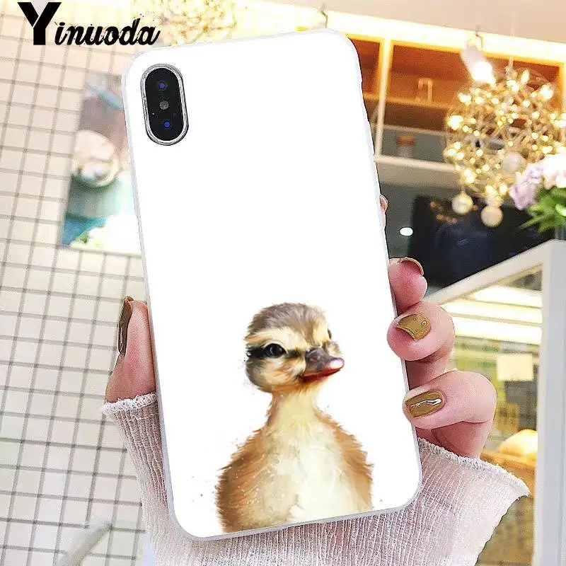 animal fashion Art fox deer owl penguin Koala Wolf tiger oil