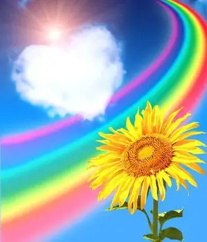 

Rainbow Flowers Diamond Painting Kit - DIY Rainbow Flowers-7