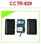 CCTR-829