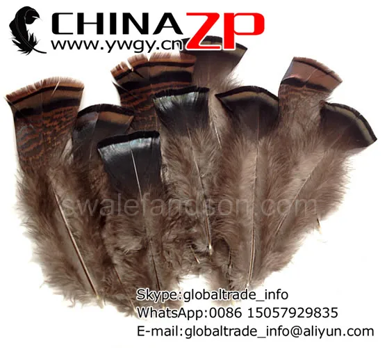 

CHINAZP Crafts Factory Exporting 100pcs/lot 4-6 Inchs Quality Dyed Wild Black Turkey Fluff Flat T-Base Body Plumage Feathers
